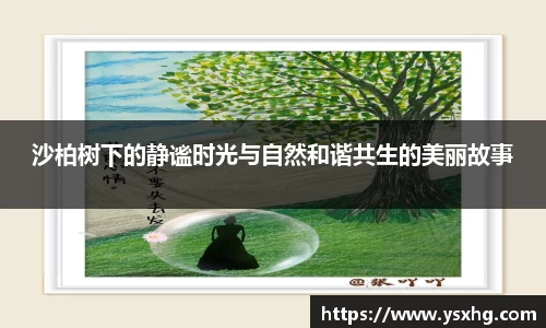 沙柏树下的静谧时光与自然和谐共生的美丽故事