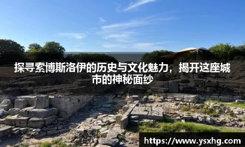 探寻索博斯洛伊的历史与文化魅力，揭开这座城市的神秘面纱